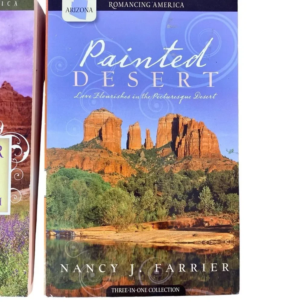 North Dakota Arizona Delaware Romance Novels Set of 3 Romance Paperback Books